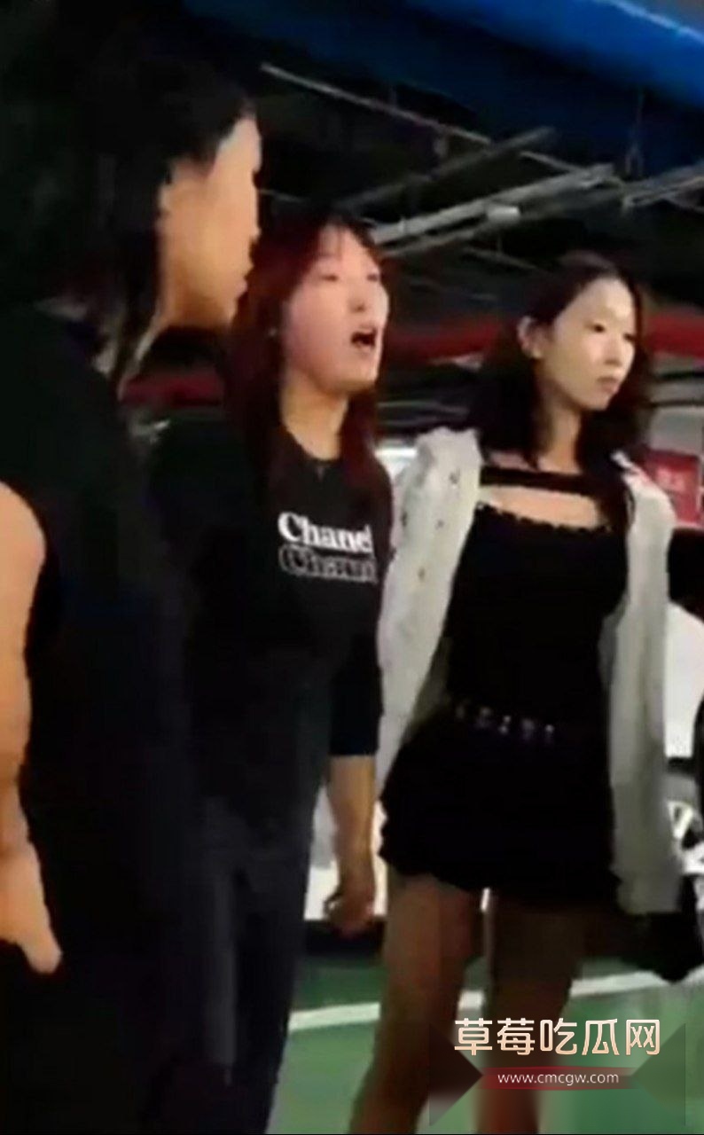 沈阳地下停车场俩精神小妹约架互殴 6 沈阳地下停车场俩精神小妹约架互殴 6