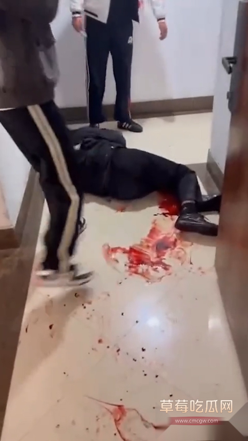 吉林长春万达公寓发生血腥捅人事件 一群精神小伙发生暴力冲突 其中有两男被现场捅死 拍摄视频的妹妹疑似是挑唆的始作俑者! 4 吉林长春万达公寓发生血腥捅人事件 一群精神小伙发生暴力冲突 其中有两男被现场捅死 拍摄视频的妹妹疑似是挑唆的始作俑者! 4