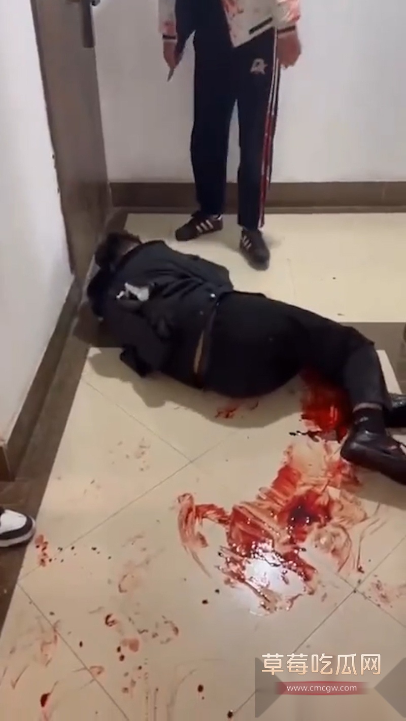 吉林长春万达公寓发生血腥捅人事件 一群精神小伙发生暴力冲突 其中有两男被现场捅死 拍摄视频的妹妹疑似是挑唆的始作俑者! 5 吉林长春万达公寓发生血腥捅人事件 一群精神小伙发生暴力冲突 其中有两男被现场捅死 拍摄视频的妹妹疑似是挑唆的始作俑者! 5