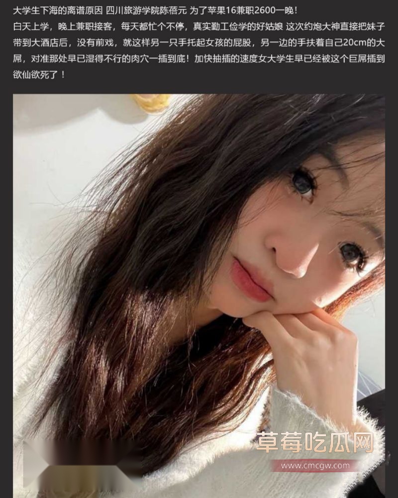 四川旅游学院陈蓓元1 四川旅游学院陈蓓元1