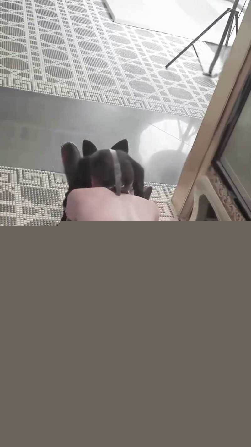 奶凶大人豹纹黑丝反差操逼 9