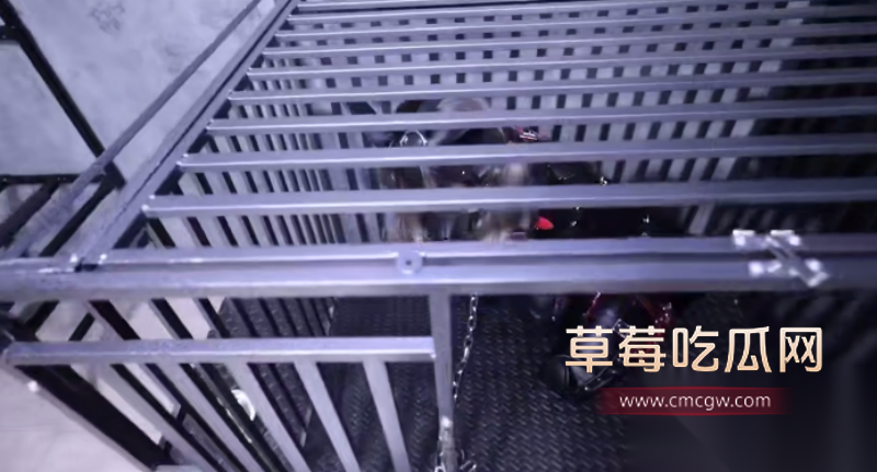 图片2025112513313110623 图片2025112513313110623