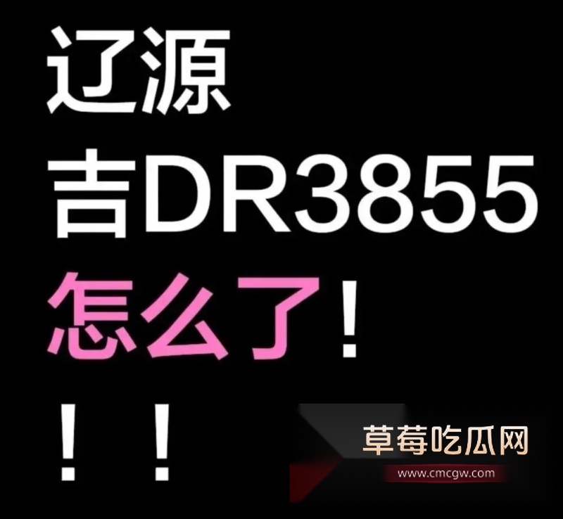 全网爆火辽源吉DR3855车震大瓜 1 全网爆火辽源吉DR3855车震大瓜 1