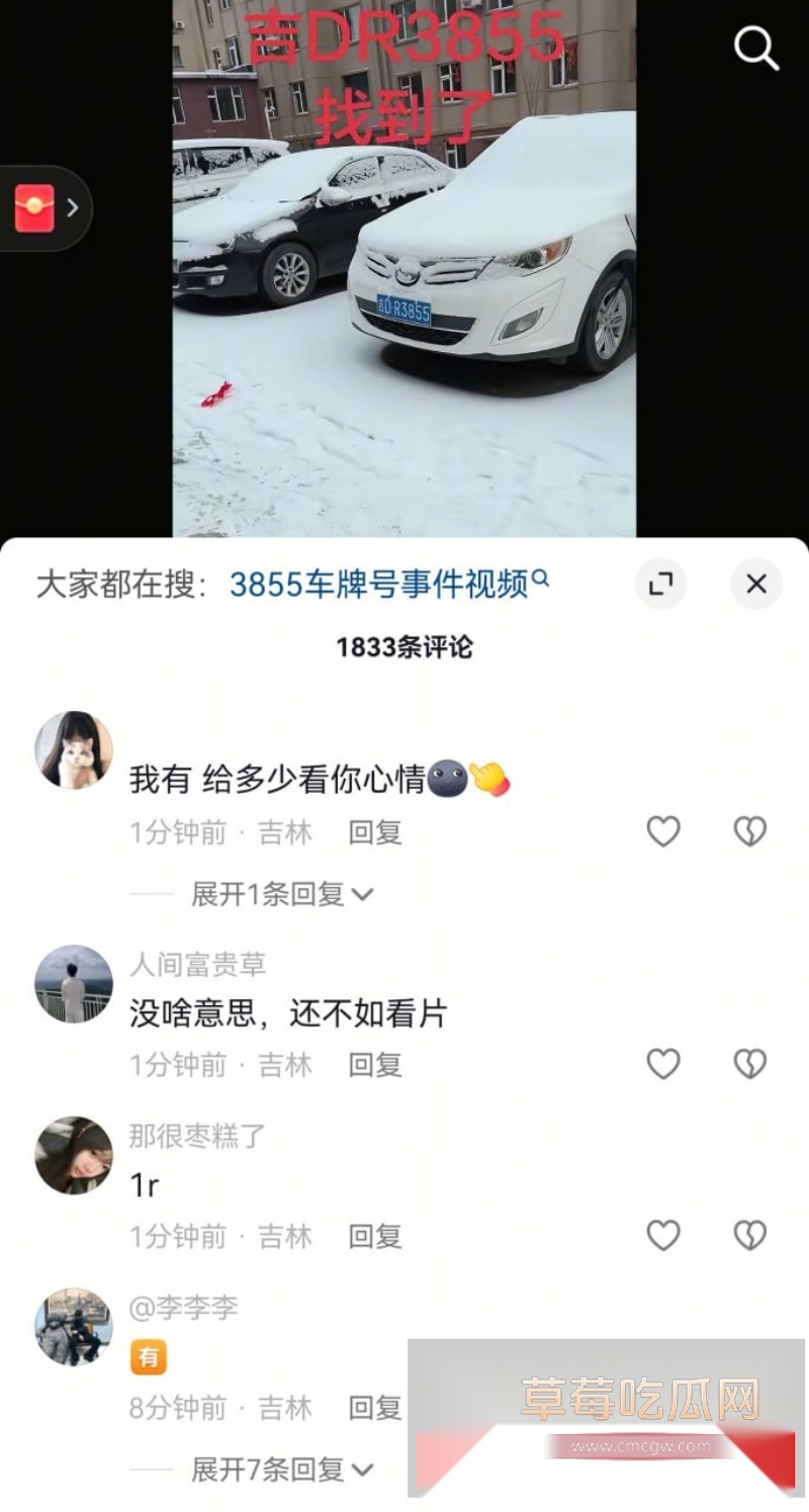 全网爆火辽源吉DR3855车震大瓜 6 全网爆火辽源吉DR3855车震大瓜 6