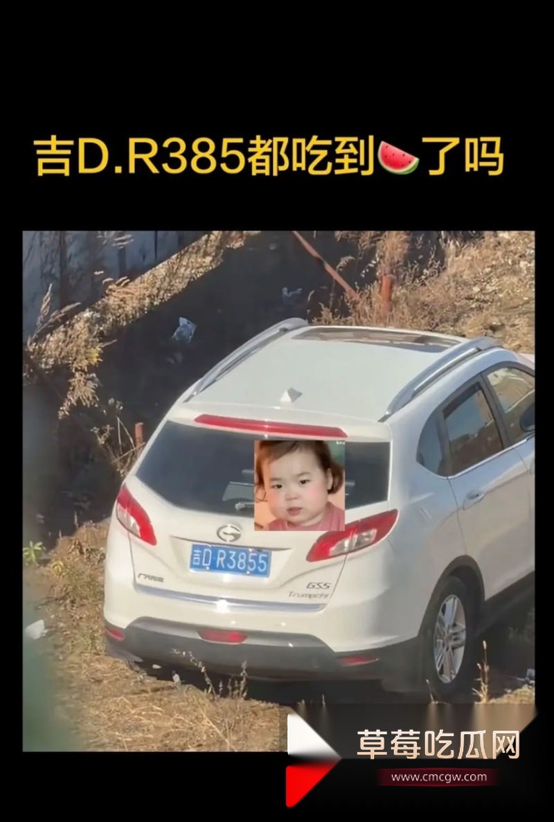全网爆火辽源吉DR3855车震大瓜 10 全网爆火辽源吉DR3855车震大瓜 10
