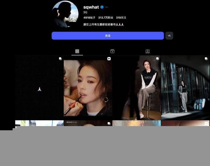 女明星舒淇的简介1 女明星舒淇的简介1