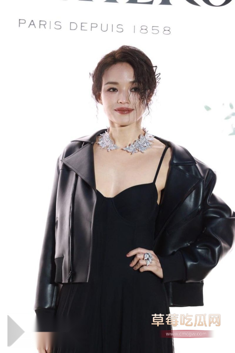 女明星舒淇的简介4 女明星舒淇的简介4