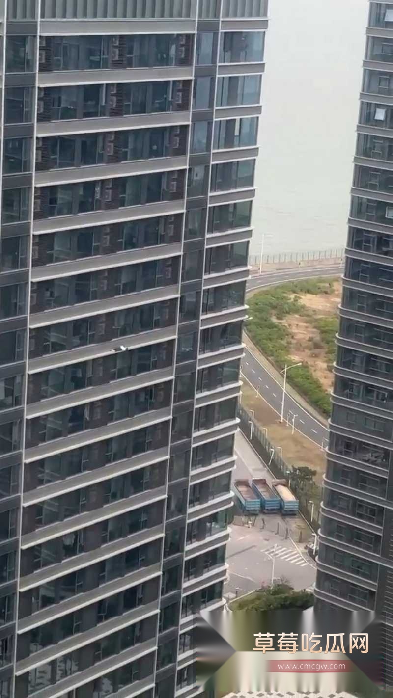 深圳湾悦府二期女子高空坠楼全过程清晰曝光 1