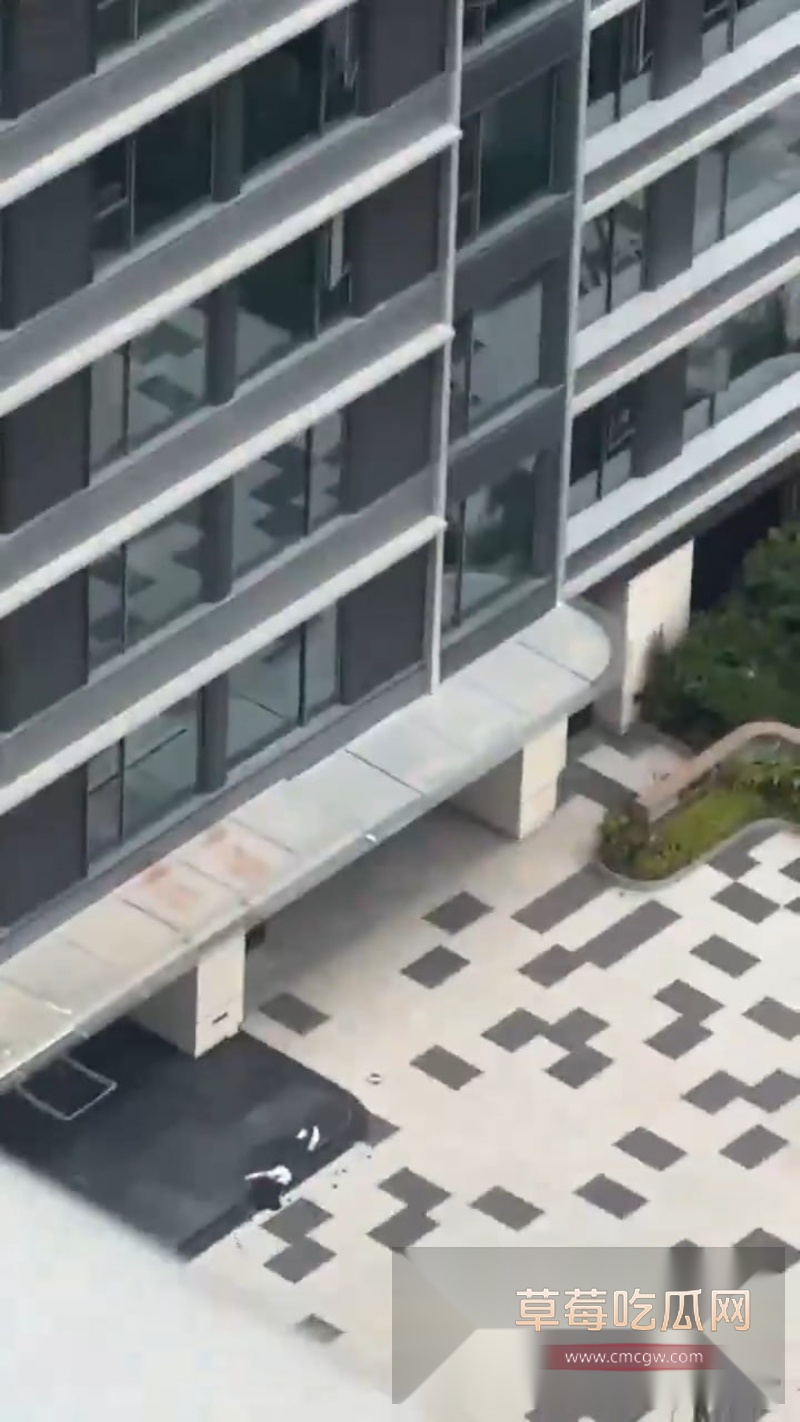 深圳湾悦府二期女子高空坠楼全过程清晰曝光 6
