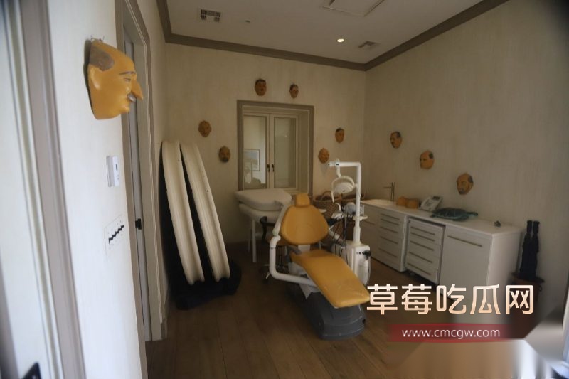 爱泼斯坦私人岛的照片与视频4
