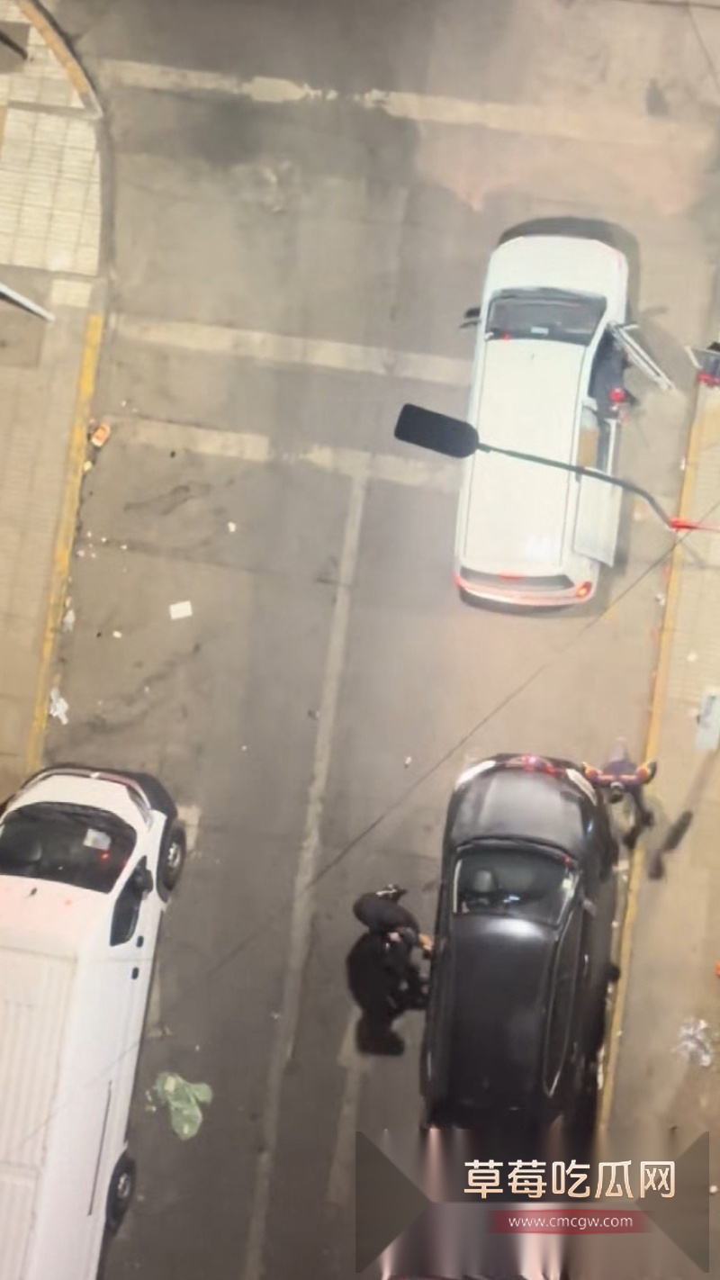 中国战略友好伙伴 智利 被爆出发生多起中国商人被绑票案件 2