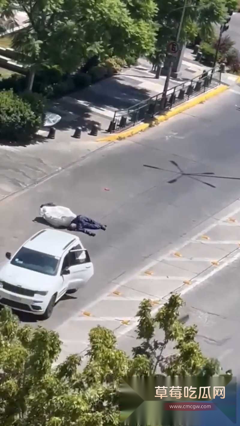 中国战略友好伙伴 智利 被爆出发生多起中国商人被绑票案件 4