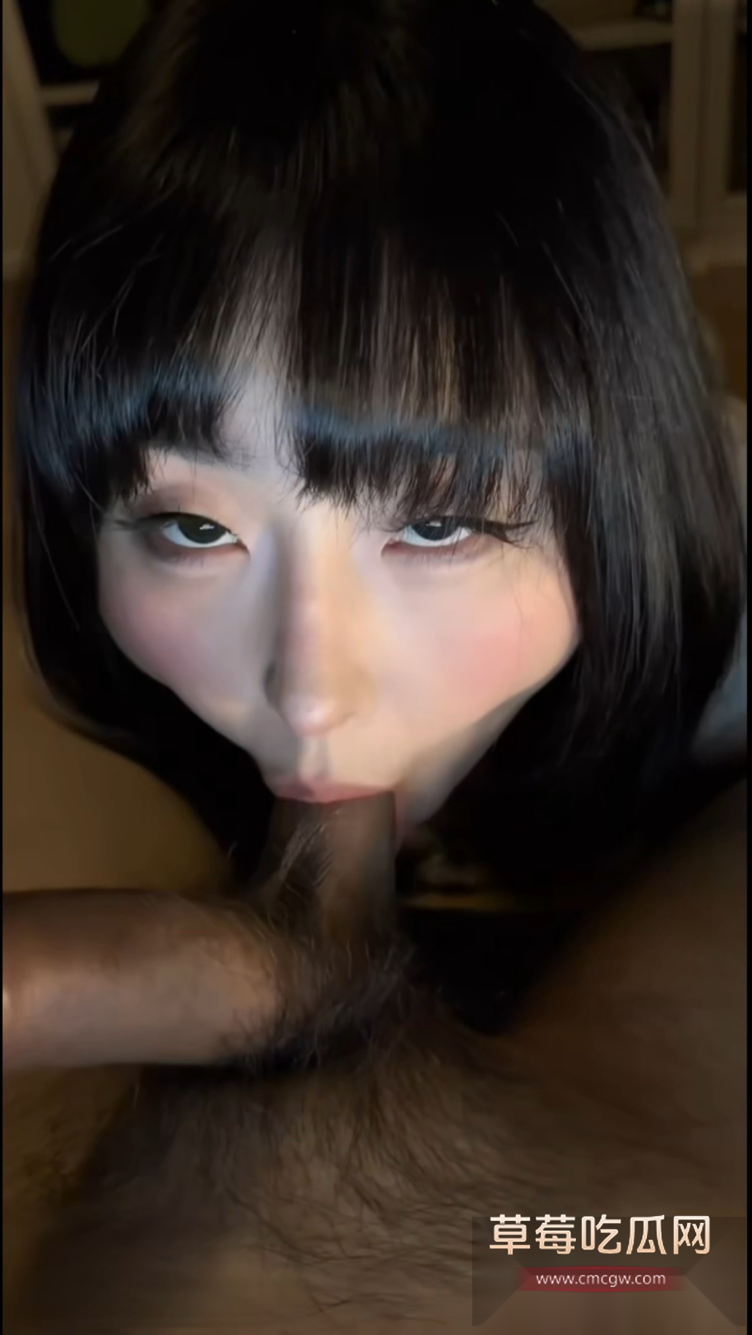 pupuwaifu钢琴间的互动剧情 7