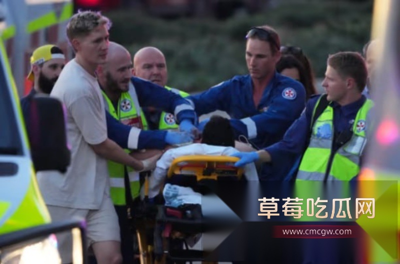 澳大利亚邦迪海滩光明节变修罗场 恐怖分子持枪预谋屠杀犹太人  8