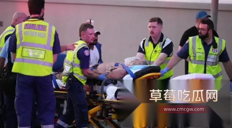 澳大利亚邦迪海滩光明节变修罗场 恐怖分子持枪预谋屠杀犹太人  9