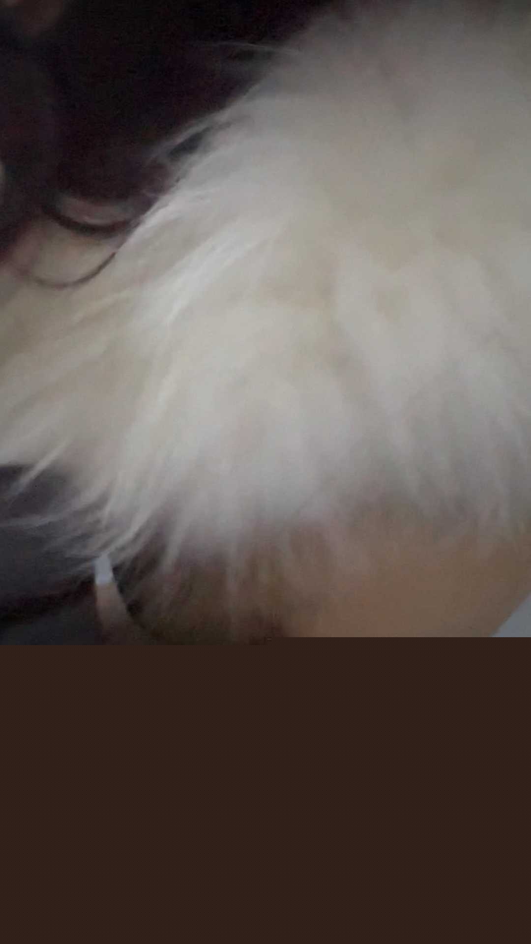 极品女神 月月 9 极品女神 月月 9