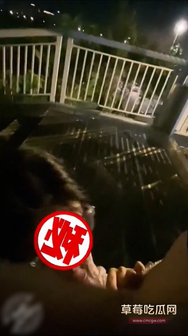 哥哥带妹妹去户外喝酒聊天 4 哥哥带妹妹去户外喝酒聊天 4