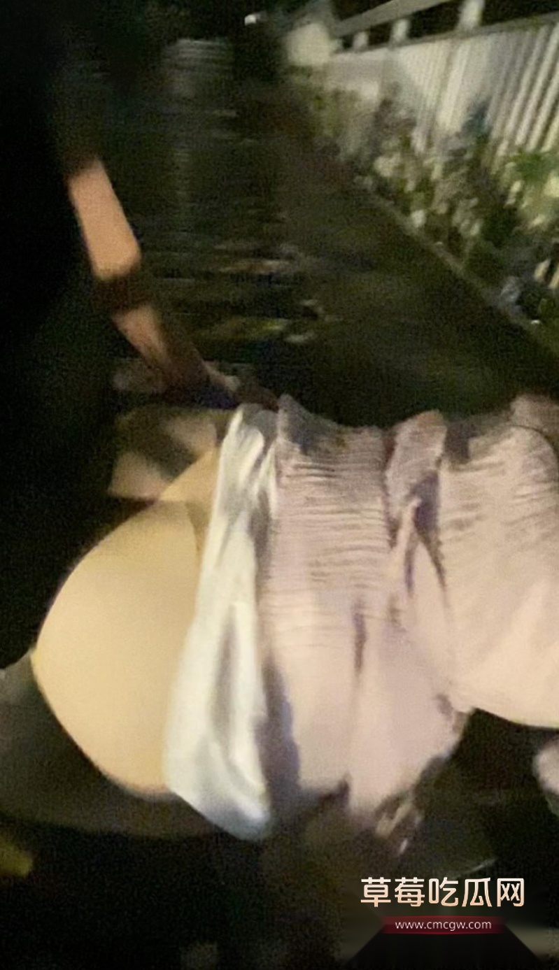 哥哥带妹妹去户外喝酒聊天 9 哥哥带妹妹去户外喝酒聊天 9