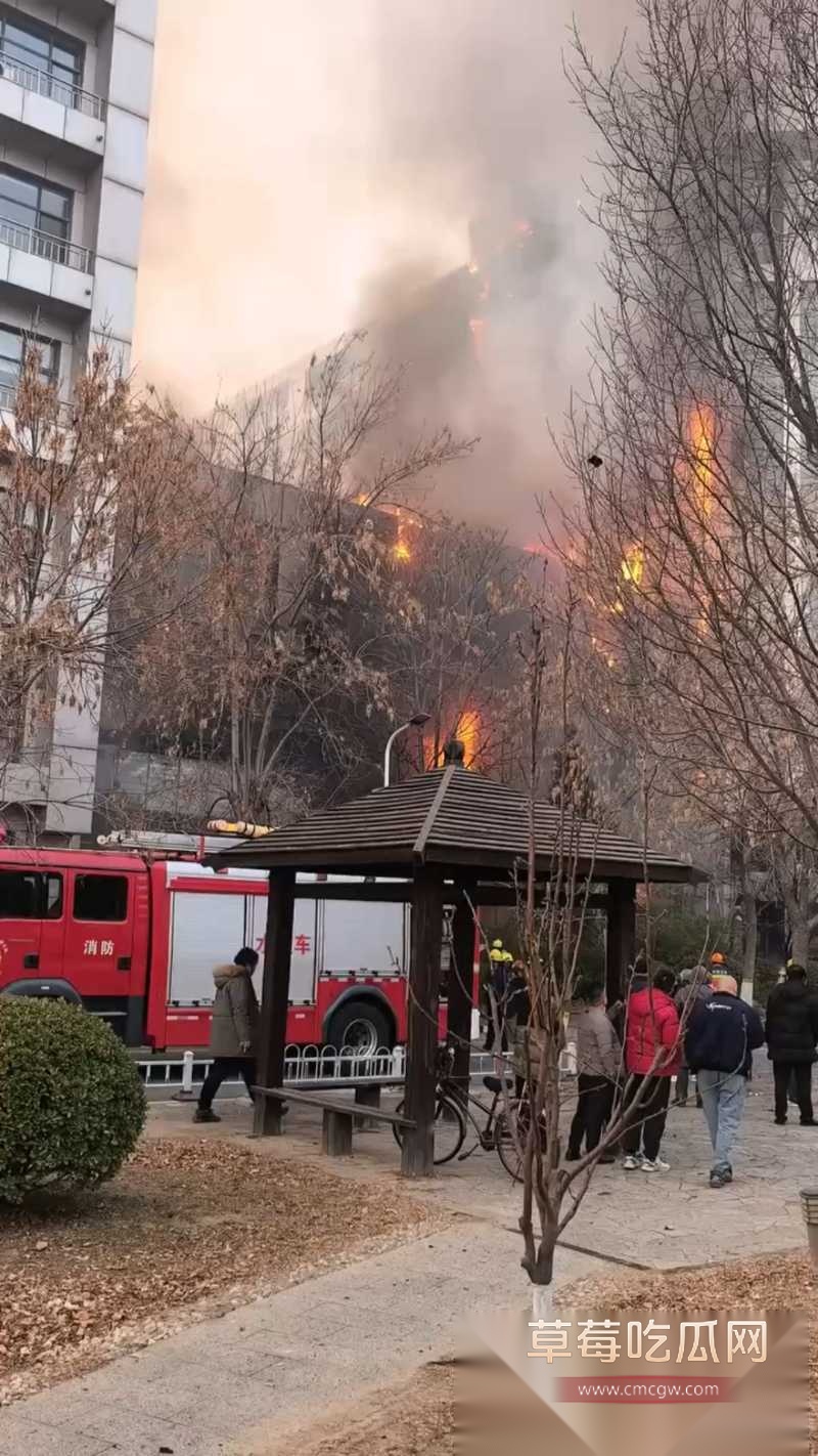 天津市西青区华鼎置地突发火灾 2 天津市西青区华鼎置地突发火灾 2