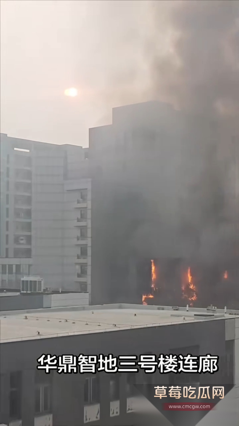 天津市西青区华鼎置地突发火灾 3 天津市西青区华鼎置地突发火灾 3