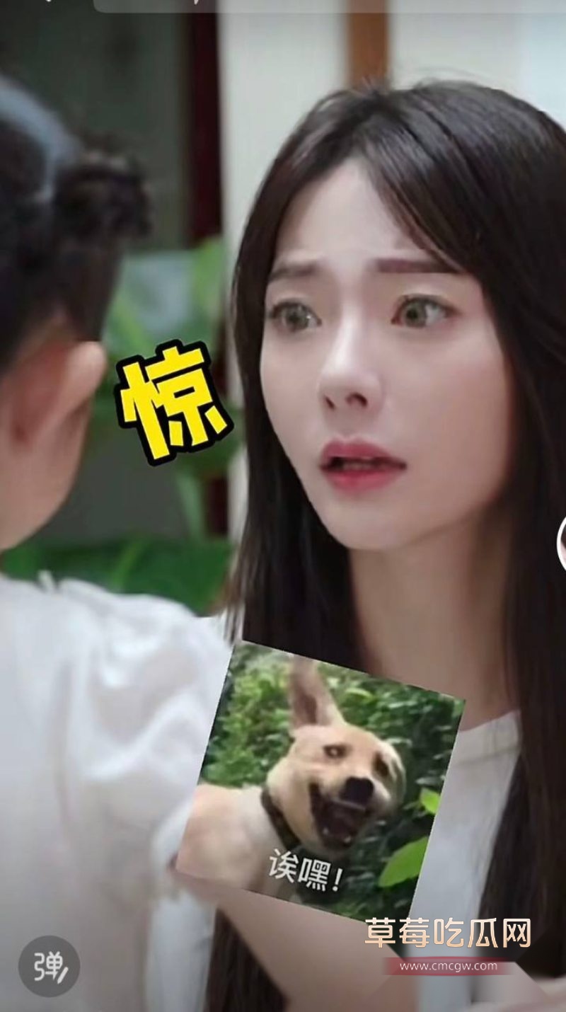 抖音网红陈嘉惟和老婆以及小三的介绍5