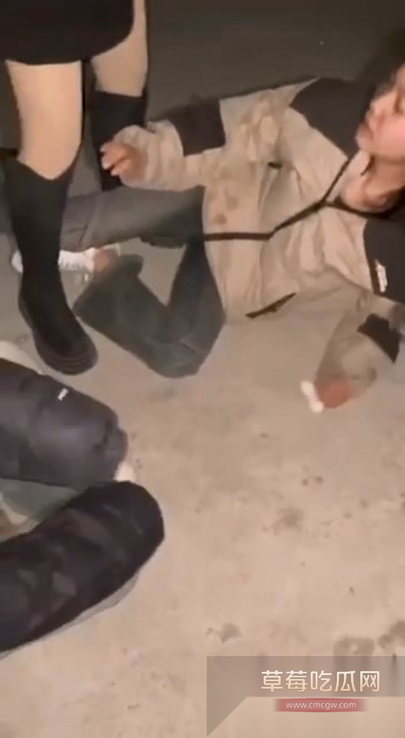 甘肃小妹 3