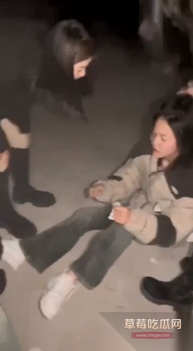 甘肃小妹 4