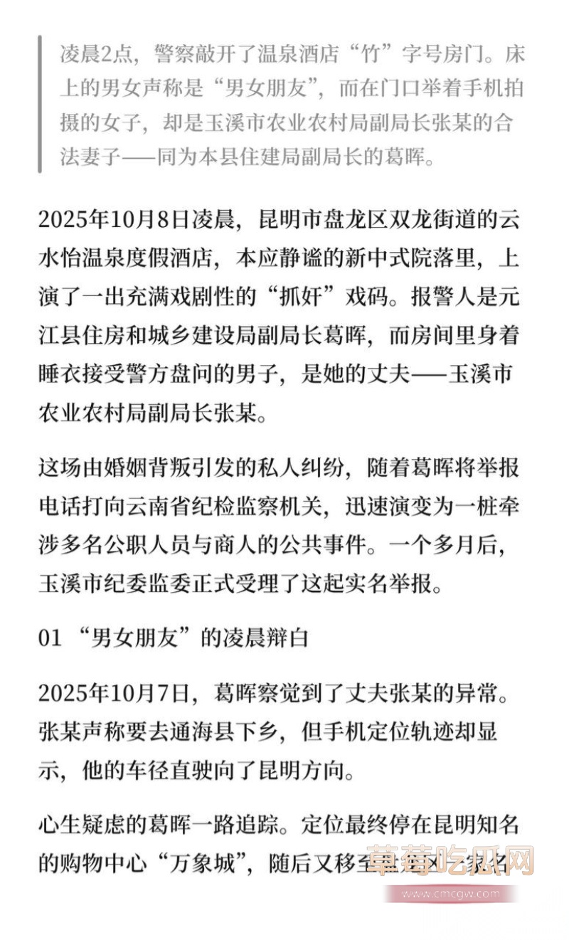 云南玉溪元江县农业局副局长张颖偷情被曝 7