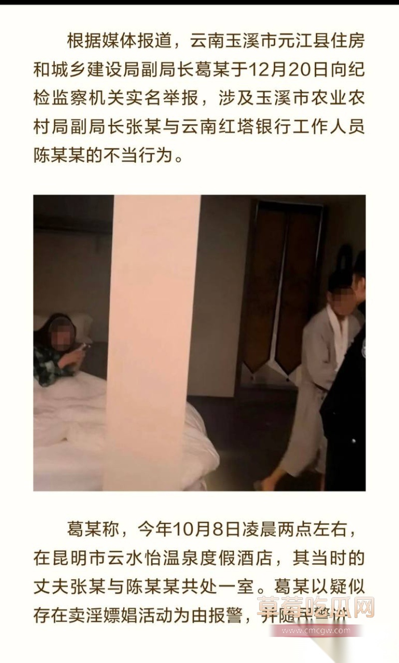 云南玉溪元江县农业局副局长张颖偷情被曝 9
