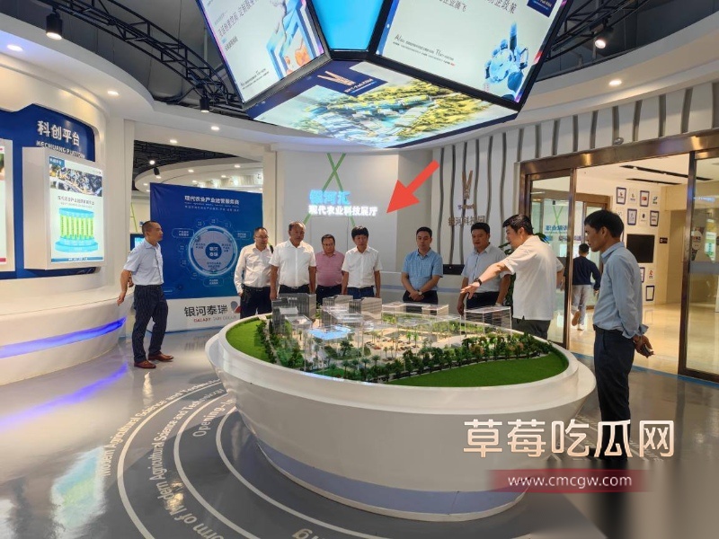 云南玉溪元江县农业局副局长张颖偷情被曝 19