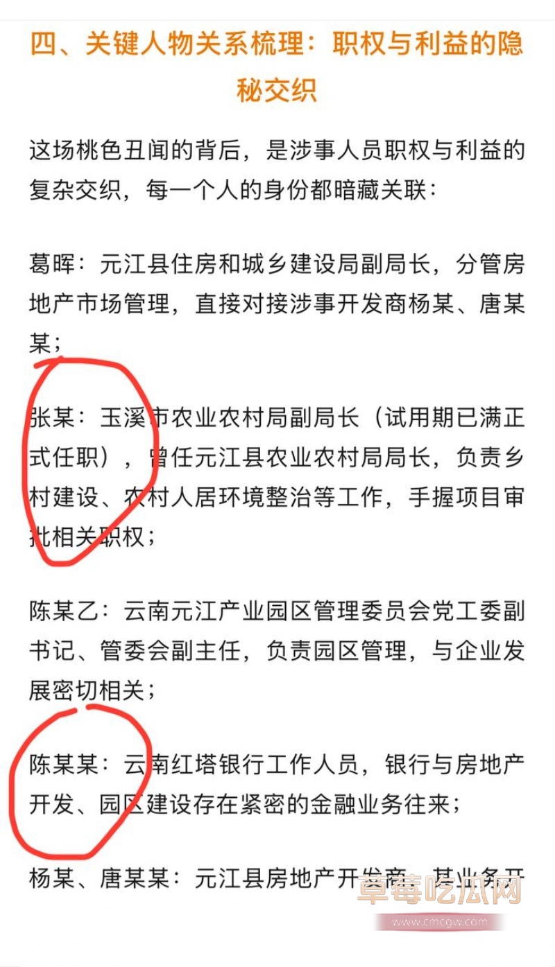 云南玉溪元江县农业局副局长张颖偷情被曝 33