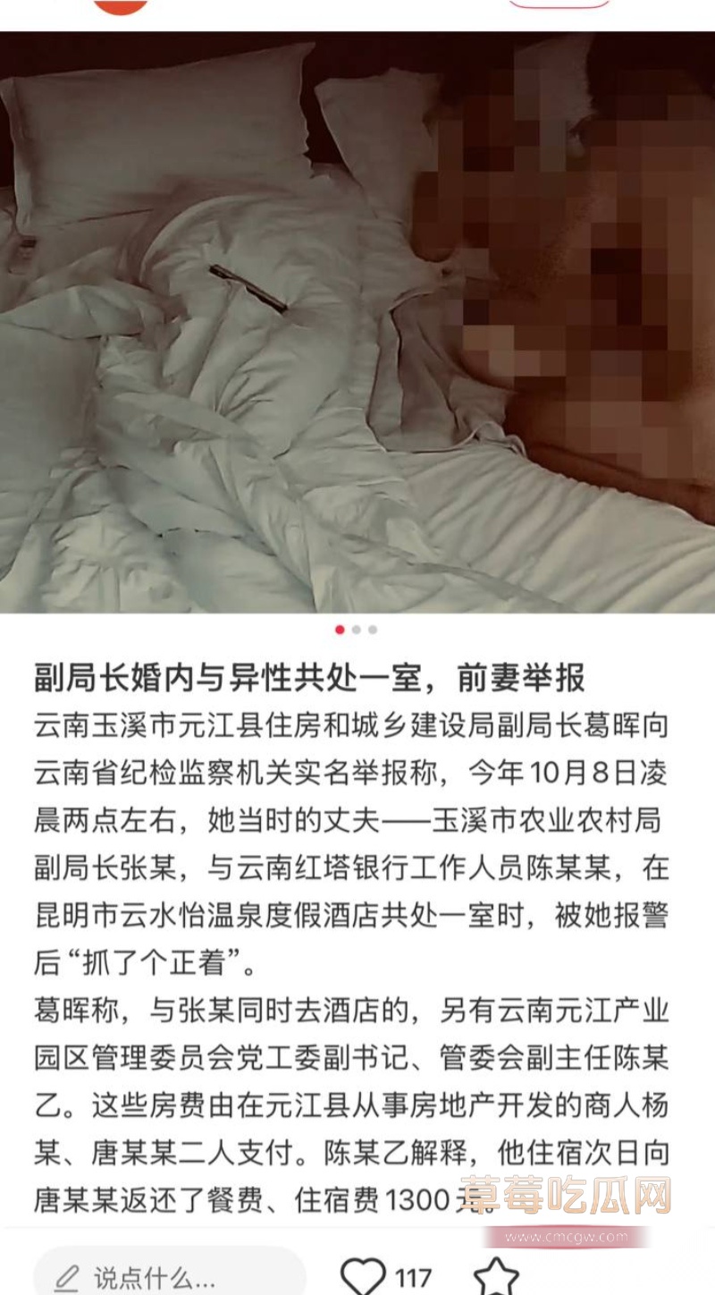 云南玉溪元江县农业局副局长张颖偷情被曝 39