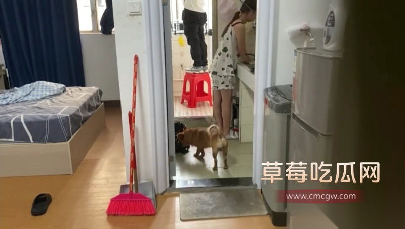 母狗欢欢 2 母狗欢欢 2