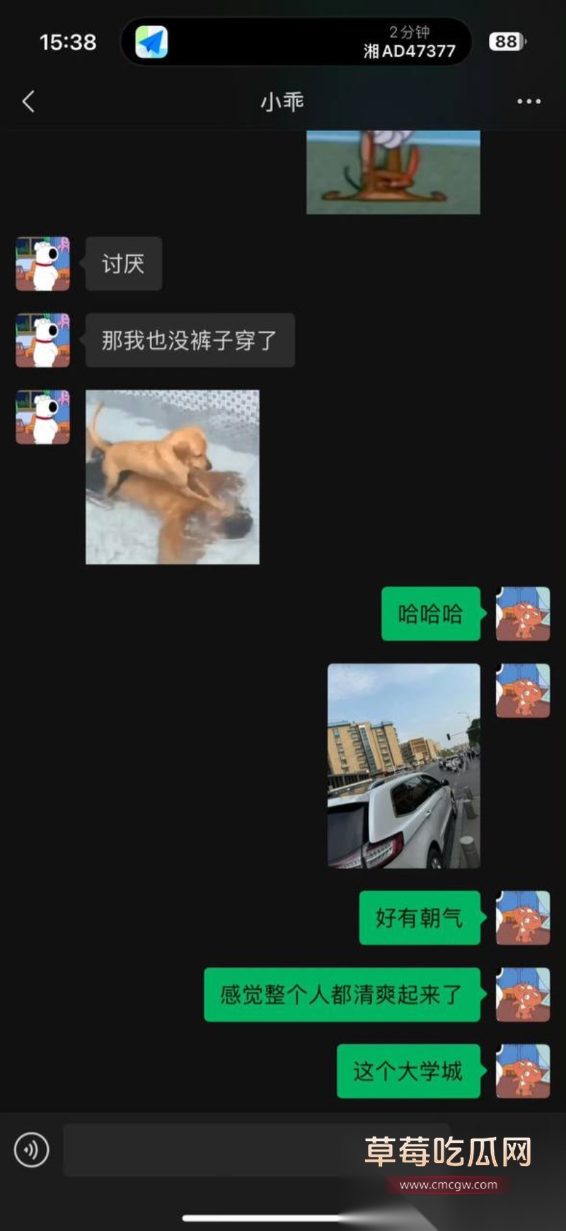 全网60w粉TS网红选妃睡粉 29 全网60w粉TS网红选妃睡粉 29