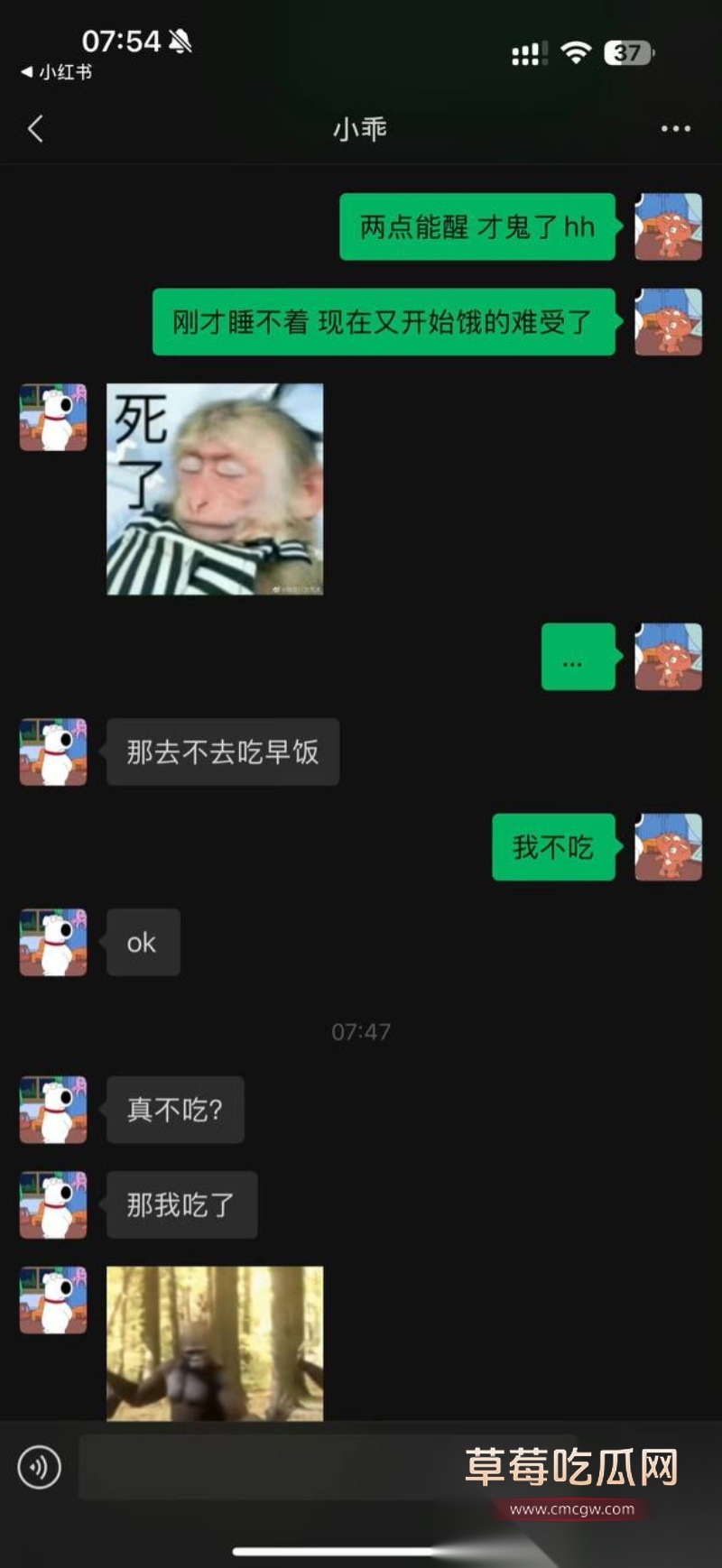 全网60w粉TS网红选妃睡粉 35 全网60w粉TS网红选妃睡粉 35