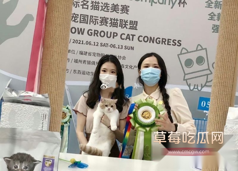江南第一深情童锦程的前女友直播录屏流出9 江南第一深情童锦程的前女友直播录屏流出9