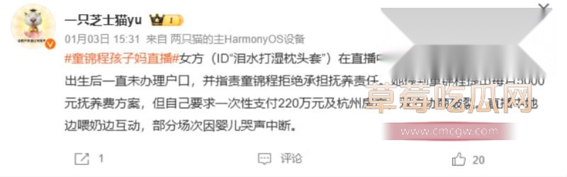 网友深扒童漾妈妈的具体资料22 网友深扒童漾妈妈的具体资料22