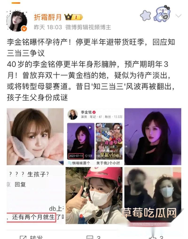 爱情公寓陈美嘉扮演者李金铭疑似怀孕3 爱情公寓陈美嘉扮演者李金铭疑似怀孕3