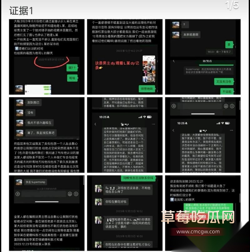 爱情公寓陈美嘉知三当三的具体细节2 爱情公寓陈美嘉知三当三的具体细节2
