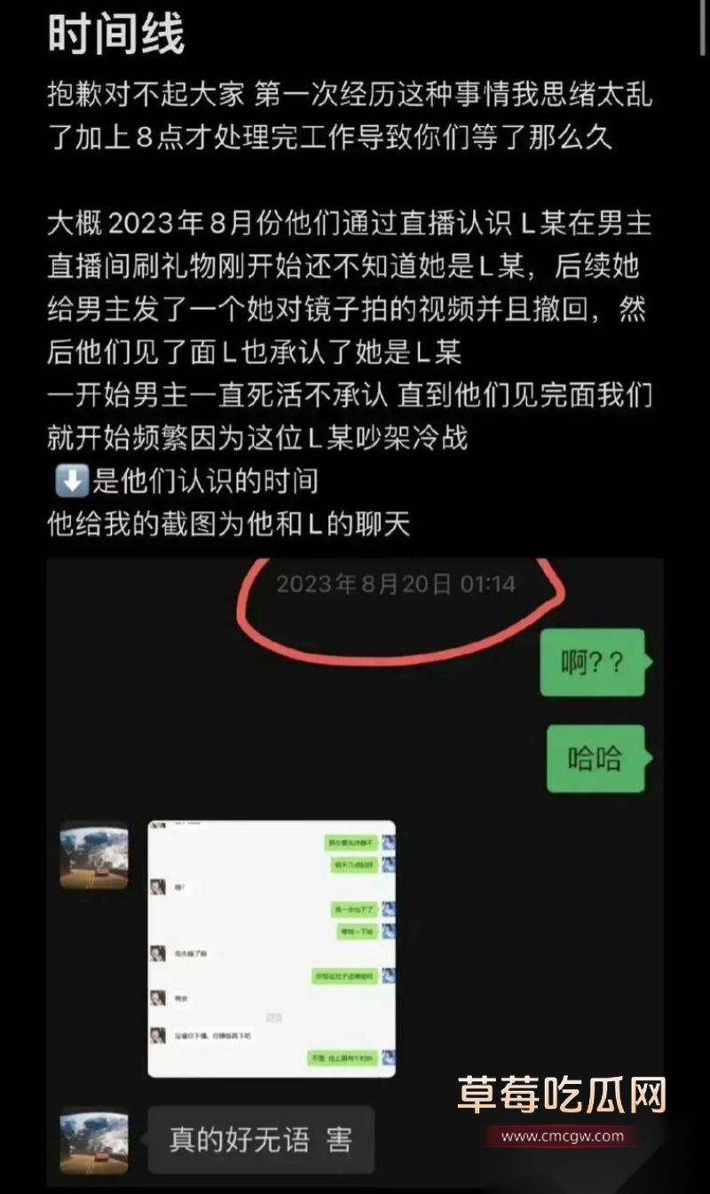 爱情公寓陈美嘉知三当三的具体细节10 爱情公寓陈美嘉知三当三的具体细节10