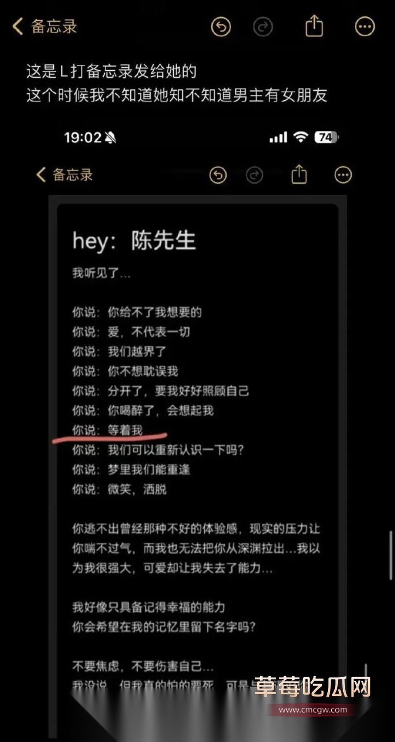 爱情公寓陈美嘉知三当三的具体细节29 爱情公寓陈美嘉知三当三的具体细节29