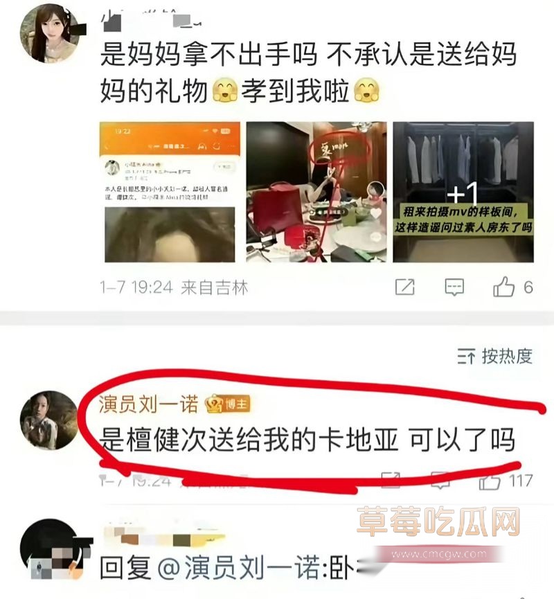 网友们对刘一诺的质疑5 网友们对刘一诺的质疑5
