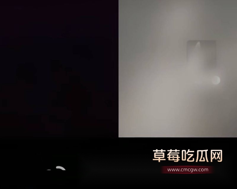 网友们对刘一诺的质疑10 网友们对刘一诺的质疑10