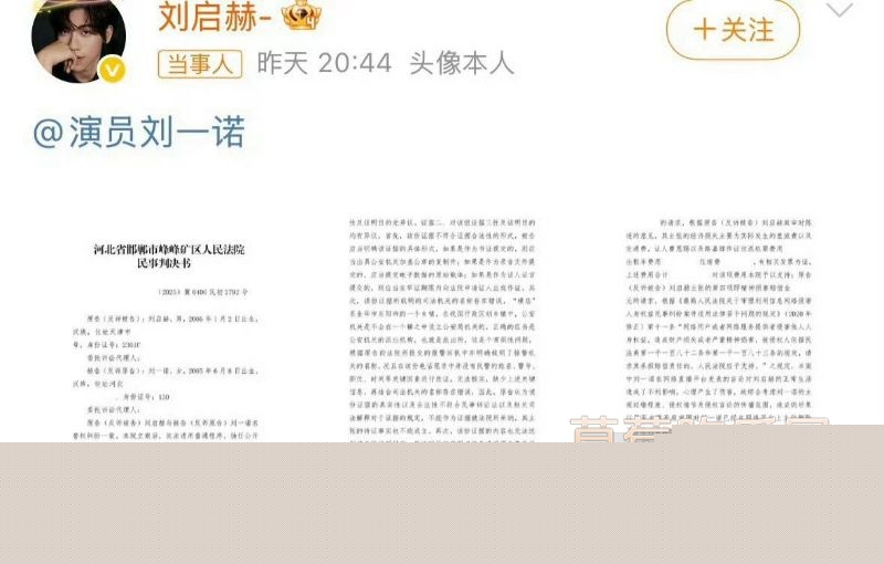 网友们对刘一诺的质疑12 网友们对刘一诺的质疑12