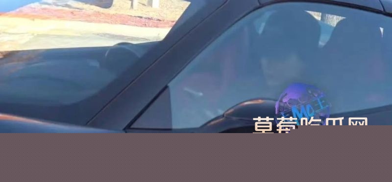孙怡开着法拉利逼出出租车3 孙怡开着法拉利逼出出租车3