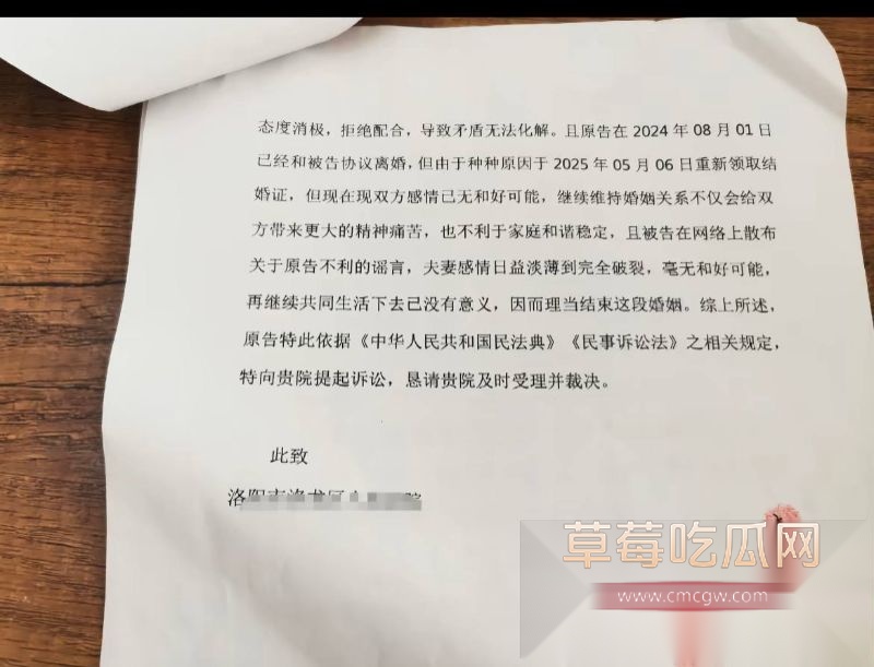 抖音女网红娜姐重生跟高飞的离婚协议4