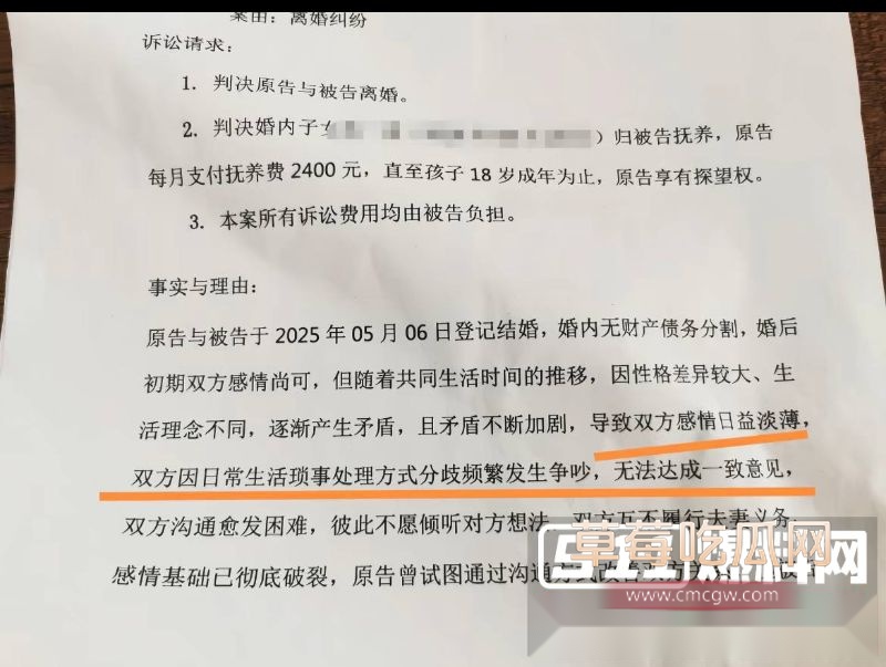 抖音女网红娜姐重生跟高飞的离婚协议5