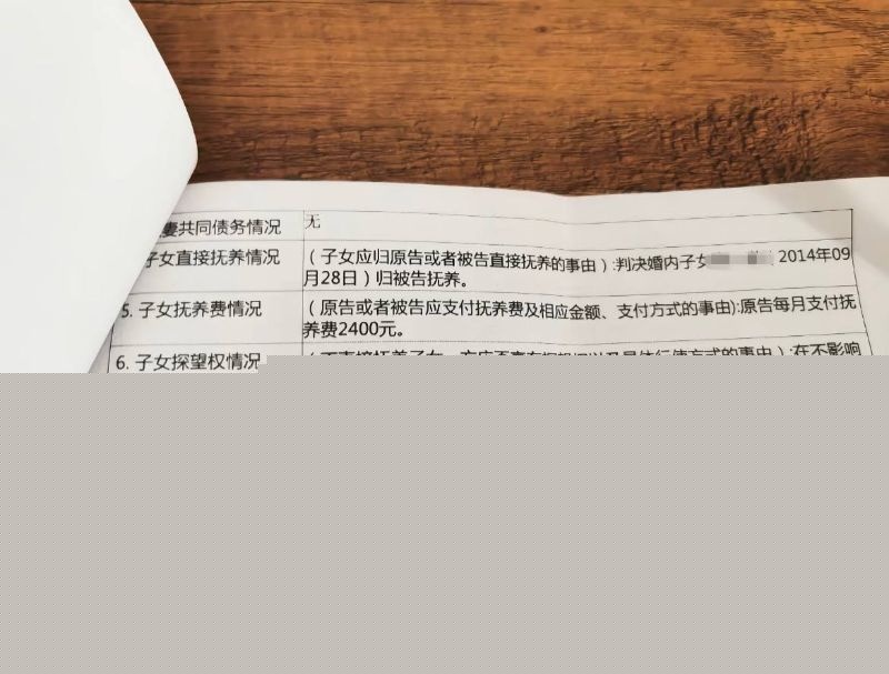抖音女网红娜姐重生跟高飞的离婚协议8