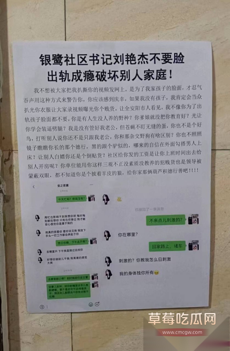 刘艳杰出轨炸裂聊天开房打炮 6