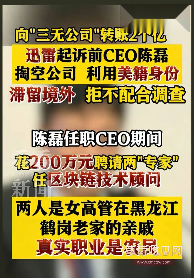 迅雷前CEO陈磊事件详情12